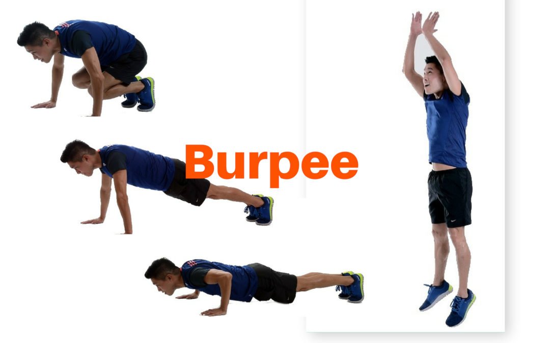 Burpee