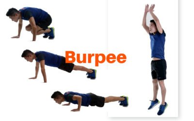 Burpee